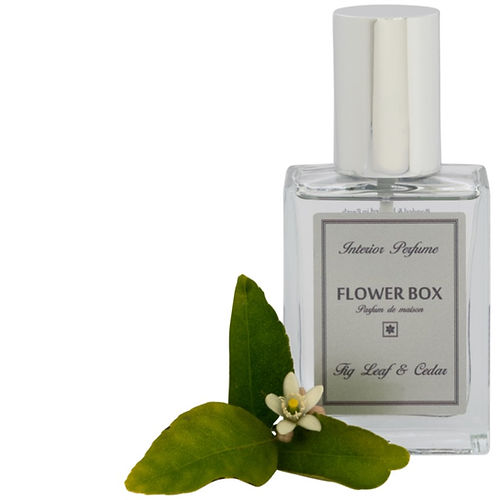 Interior Perfume - Fig Leaf & Cedar