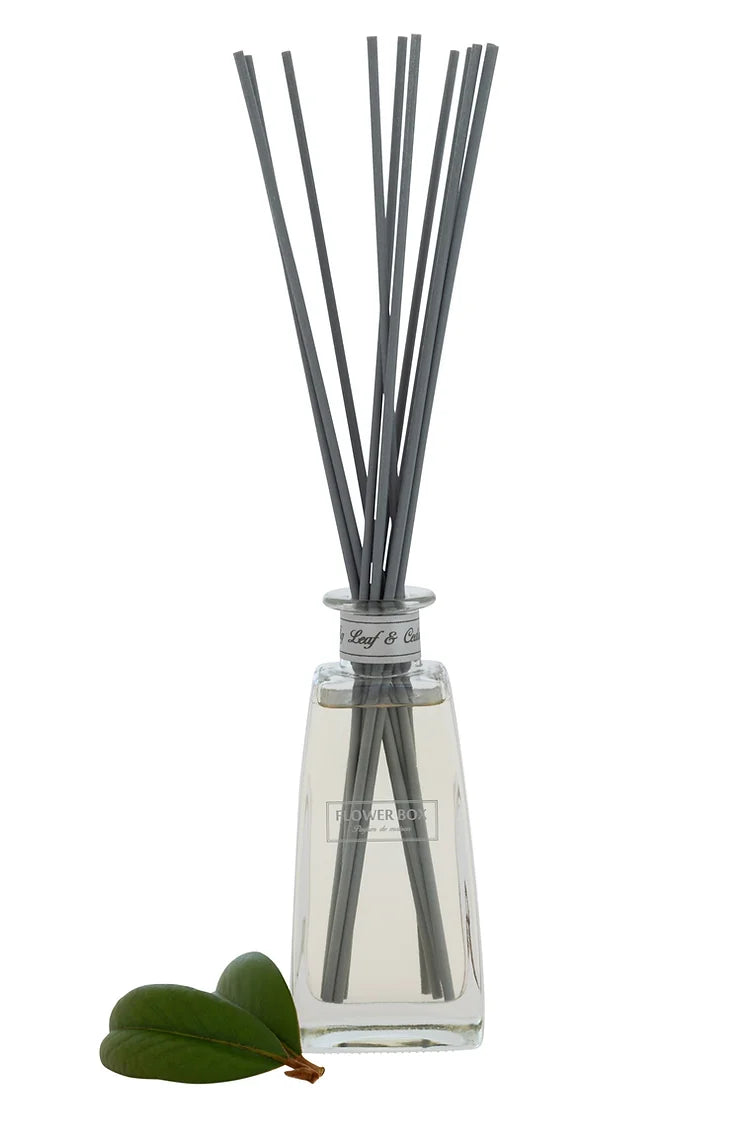 Standard Diffuser Fig Leaf & Cedar
