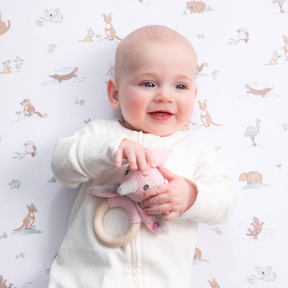 Ring Rattle - Galah