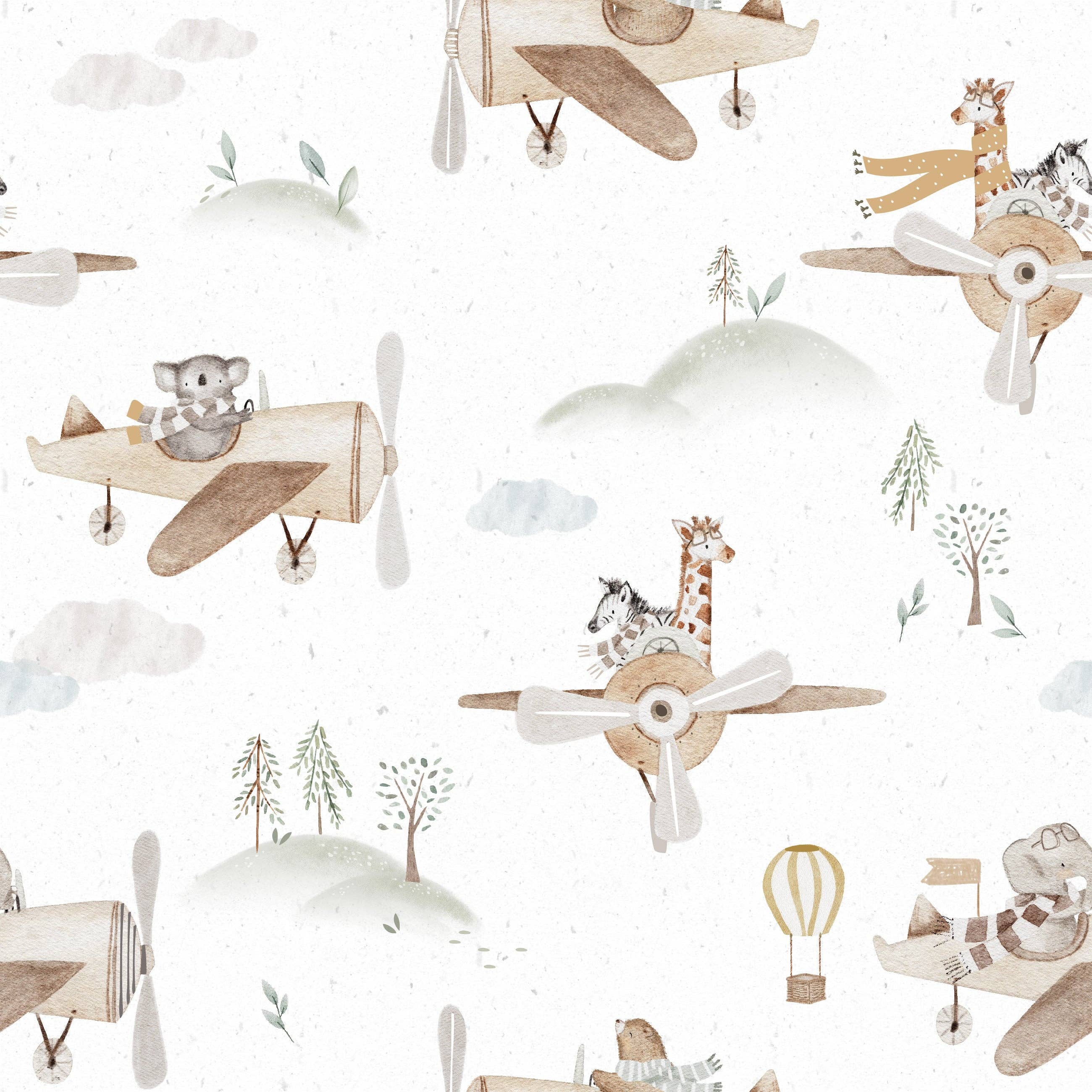 Shorts - Sky Safari
