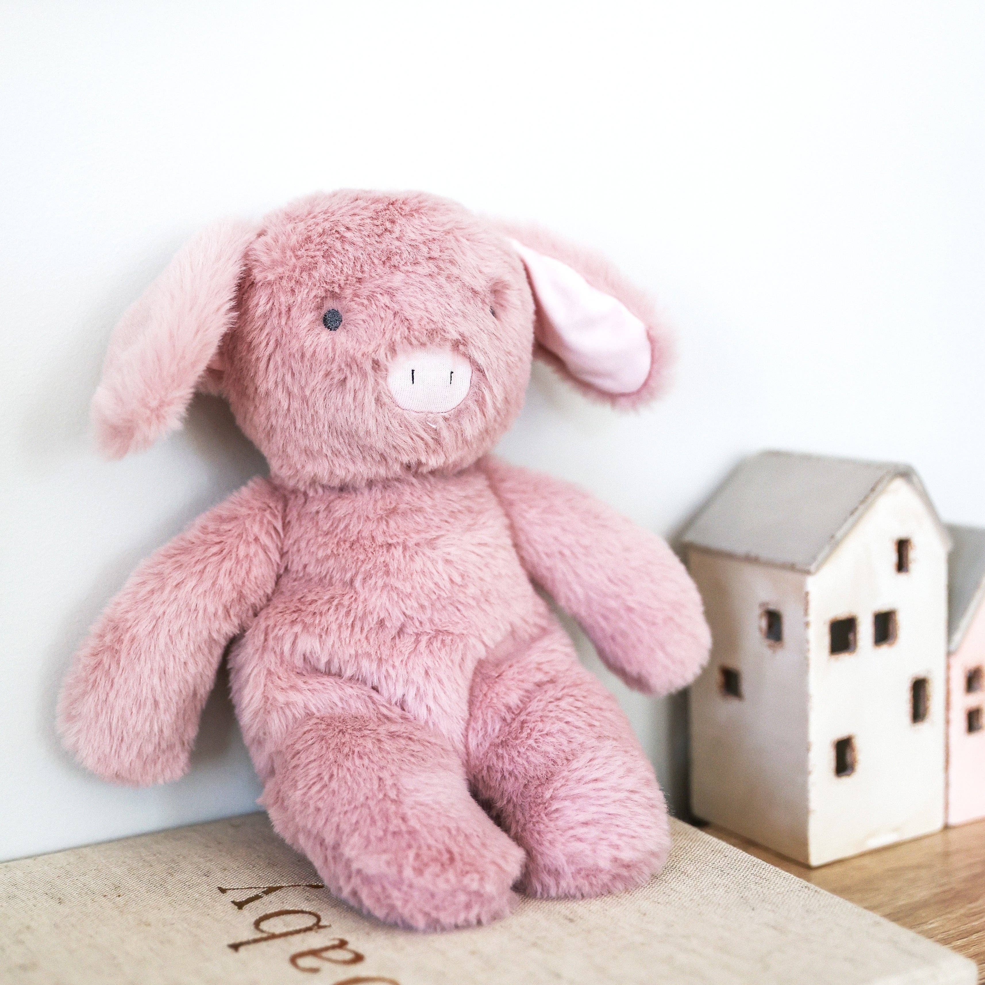 Plush Piggy Toy