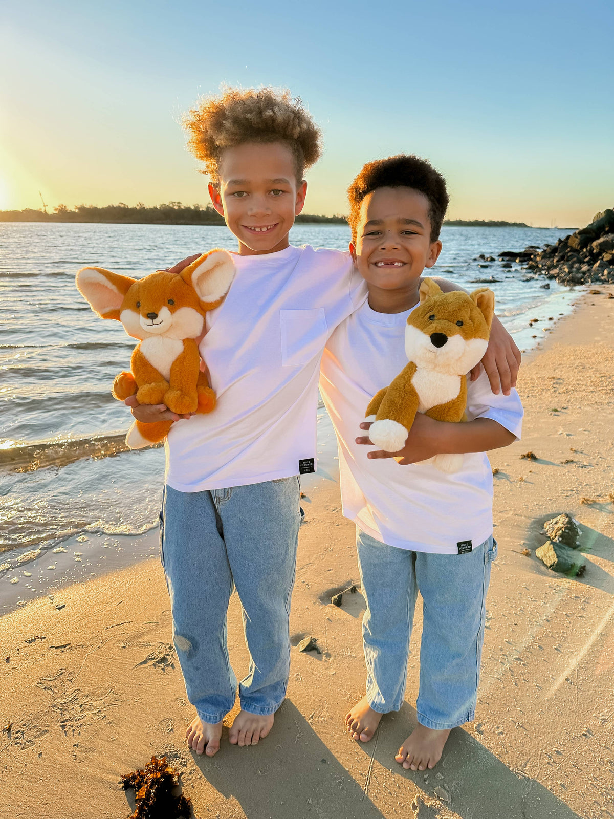 Dusty Dingo Soft Toy