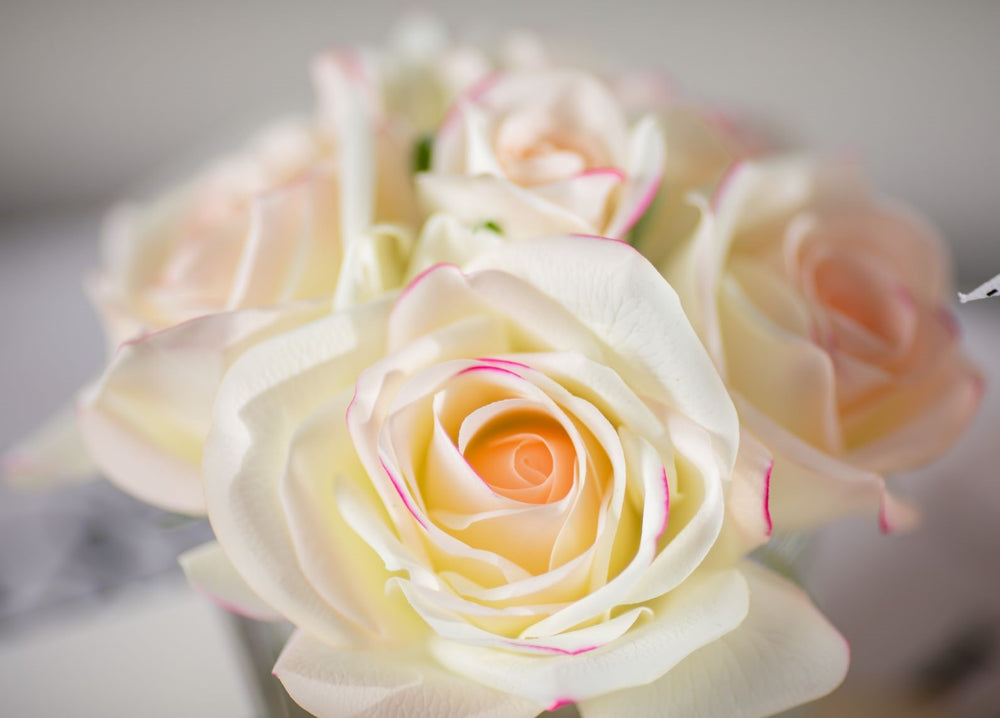 Perfumed Natural Touch Five Roses - Black - Pink Blush