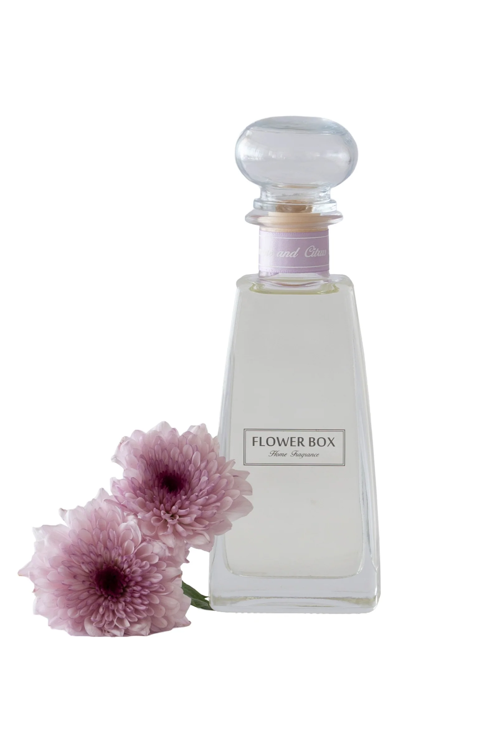 Standard Diffuser - White Jasmine & Citrus Blossom