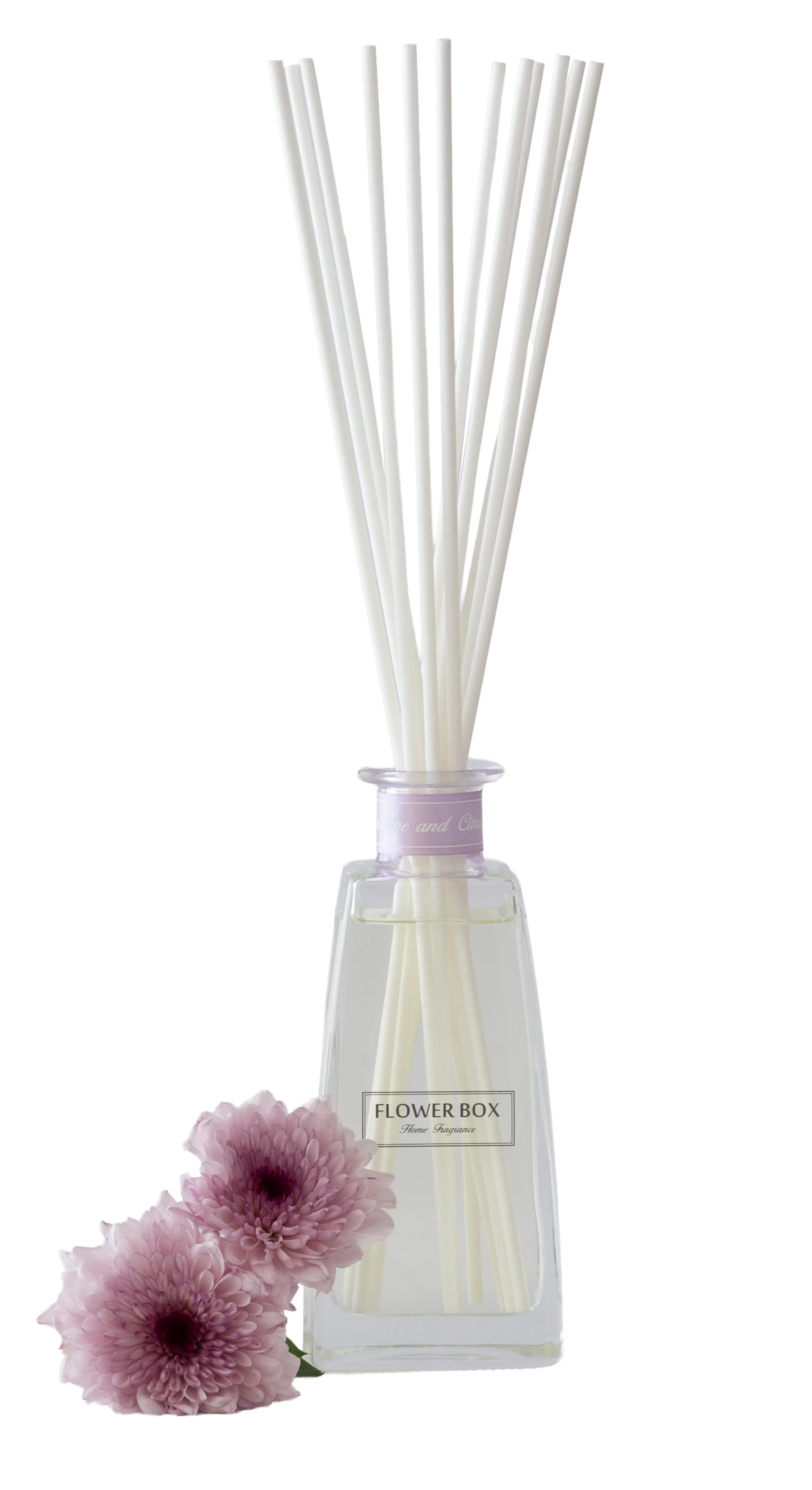 Standard Diffuser - White Jasmine & Citrus Blossom