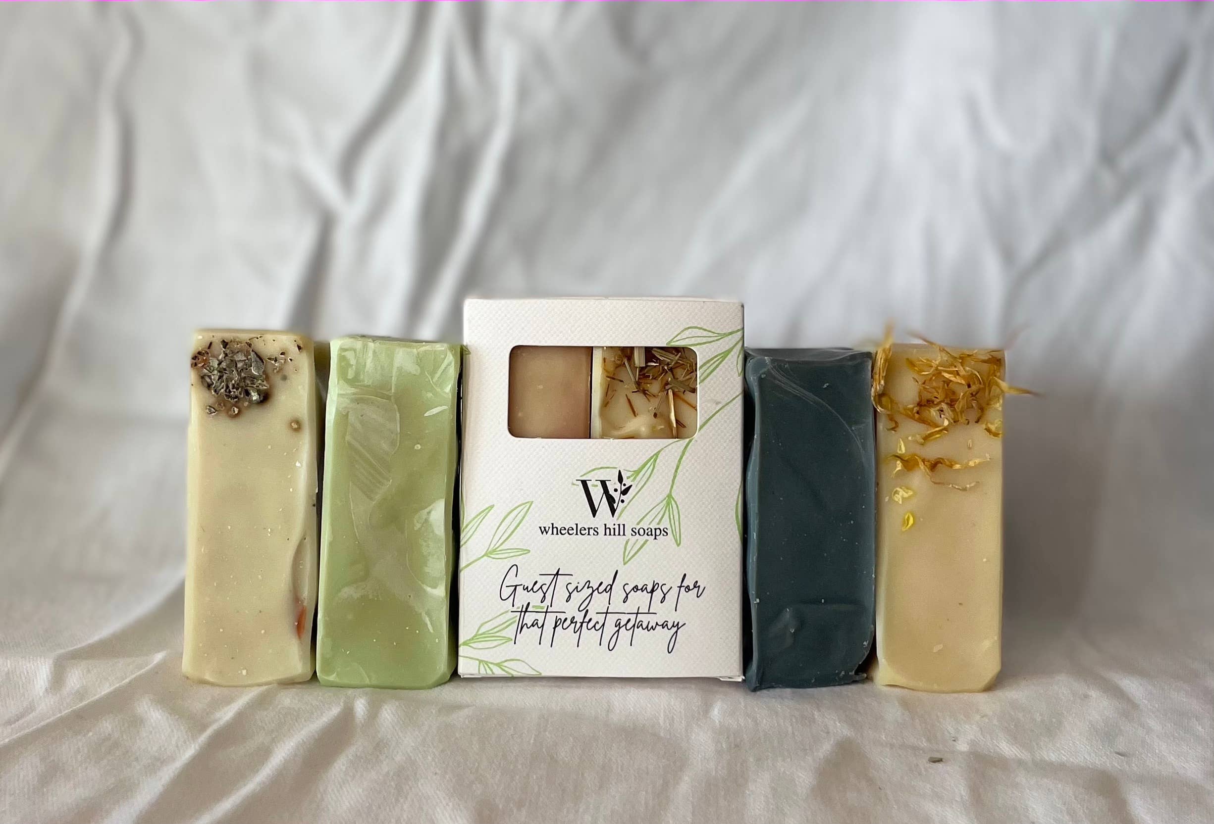 Guest Soaps