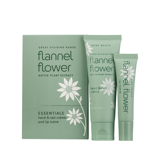 Flannel Flower Essentials Pack