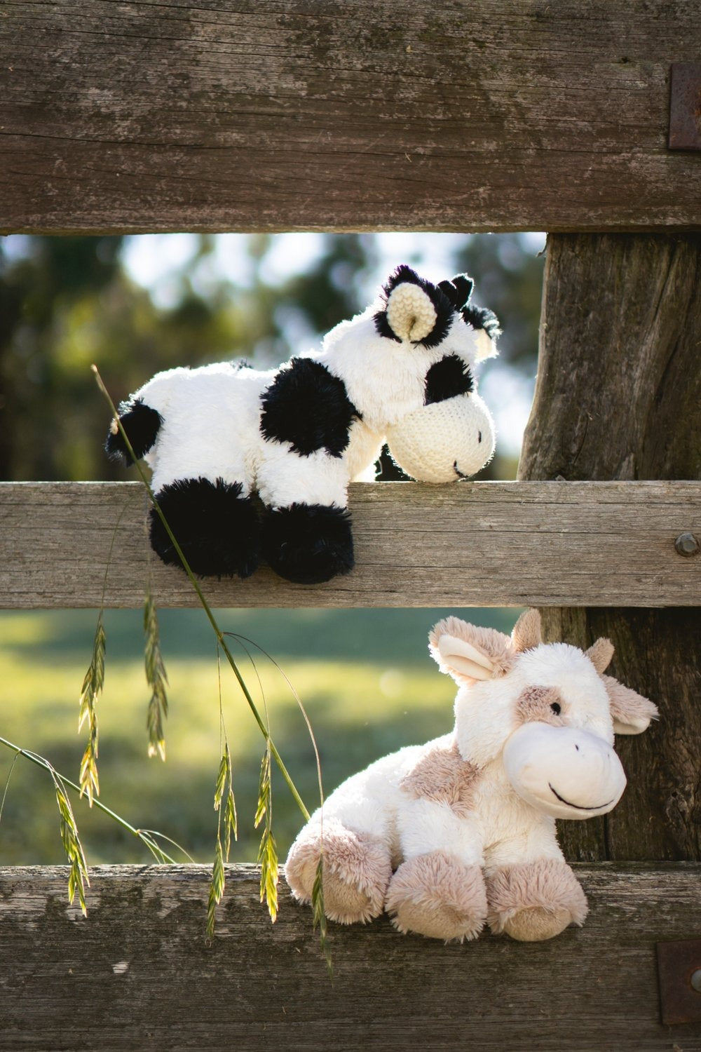 Coco the Cow Toy